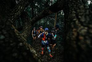 BIB: 
                            <button type="button" onclick="openModal(25677250)" class="btn btn-primary btn-sm float-right btn-popup" data-toggle="modal" data-target=".modal-high-quality">
                        <i class="fas fa-shopping-cart"></i> Add to Cart
                    </button>
                                            <button type="button" onclick="isThisMe(25677250, true)" class="btn btn-success btn-sm float-right btn-popup btn-isme hidden" data-toggle="tooltip" data-placement="bottom" title="นี่คือรูปของคุณใช่ไหม คลิกที่นี่เพื่อเอาเข้าอัลบั้ม">
                        <i class="fas fa-plus"></i> Add to album
                    </button>
                    <button type="button" onclick="isThisMe(25677250, false)" class="btn btn-warning btn-sm float-right btn-popup btn-isnotme hidden">
                        <i class="fas fa-ban"></i> Remove from album
                    </button>